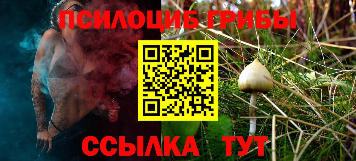 Галлюциногенные грибы MAGIC MUSHROOMS Россия