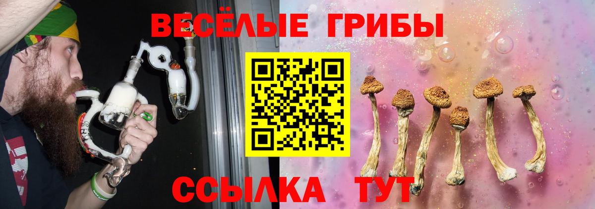 Россия  Псилоцибиновые грибы мухоморы  Вход с VPN 